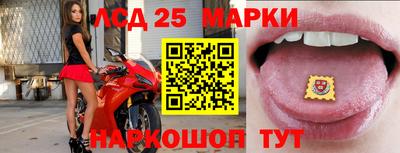 a pvp Аргун