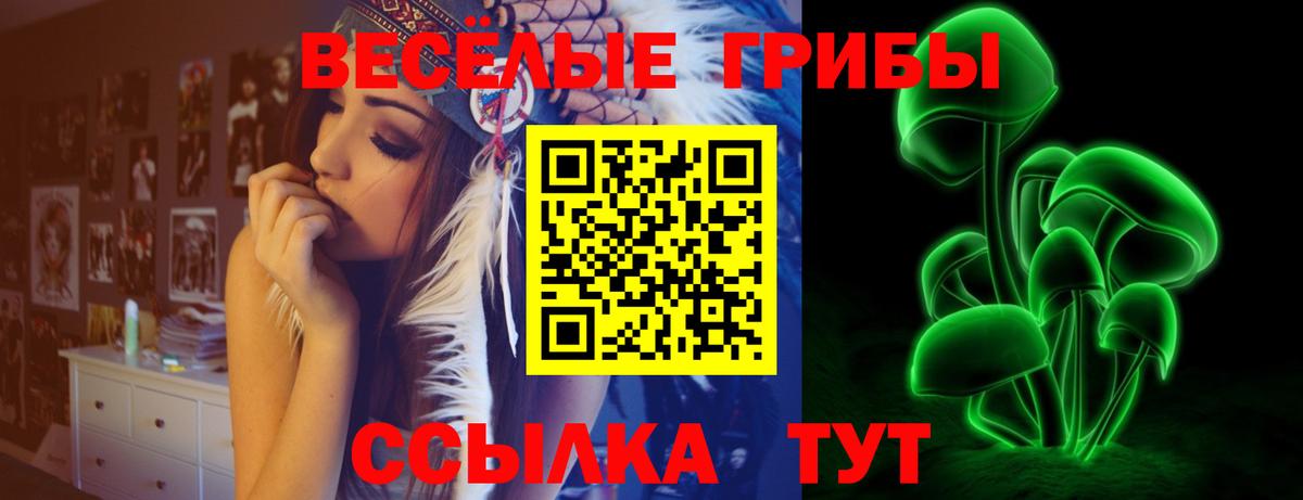 купить наркоту  Псилоцибиновые грибы мухоморы  Вход с VPN  Балахна 
